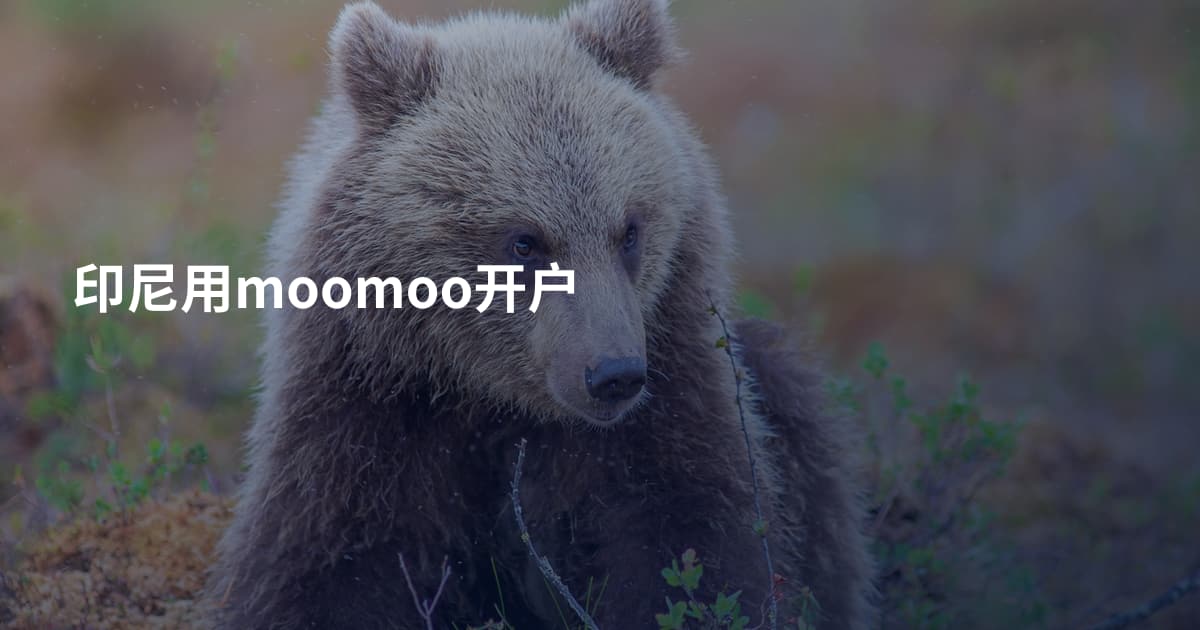 印尼用moomoo开户