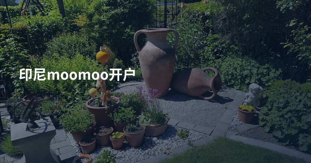 印尼moomoo开户