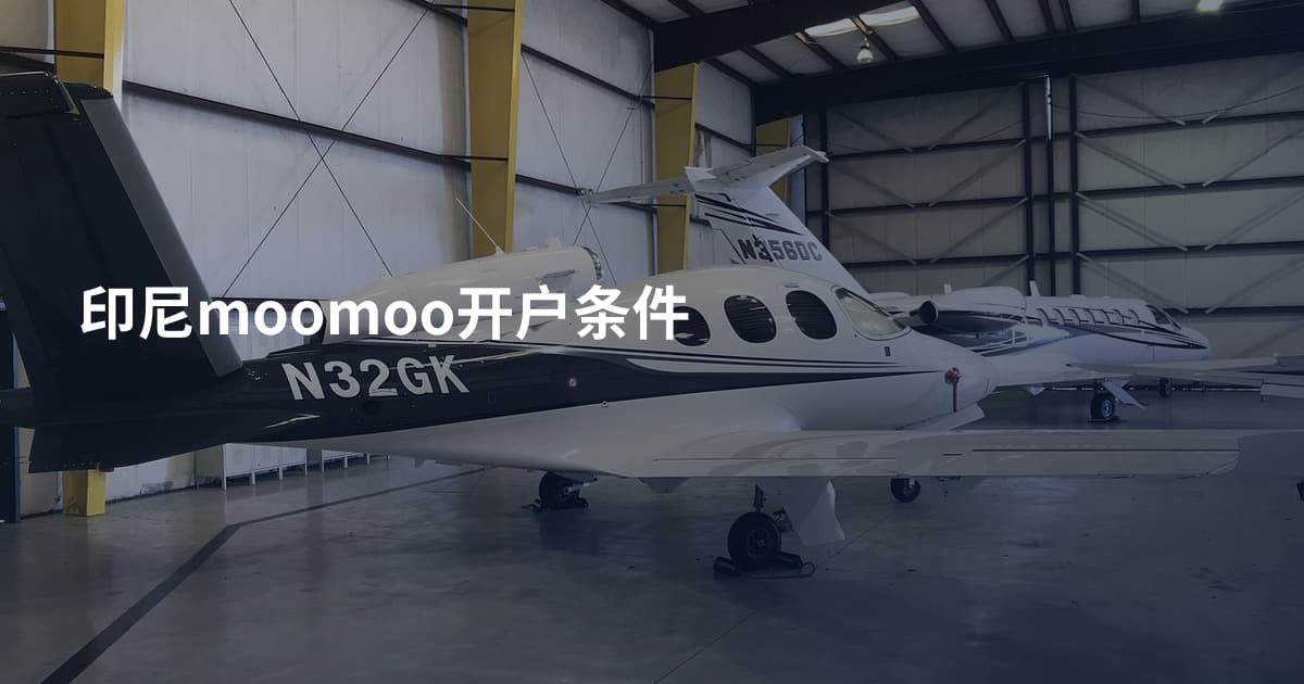 印尼moomoo开户条件
