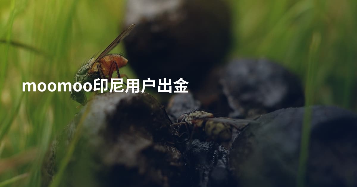 moomoo印尼用户出金