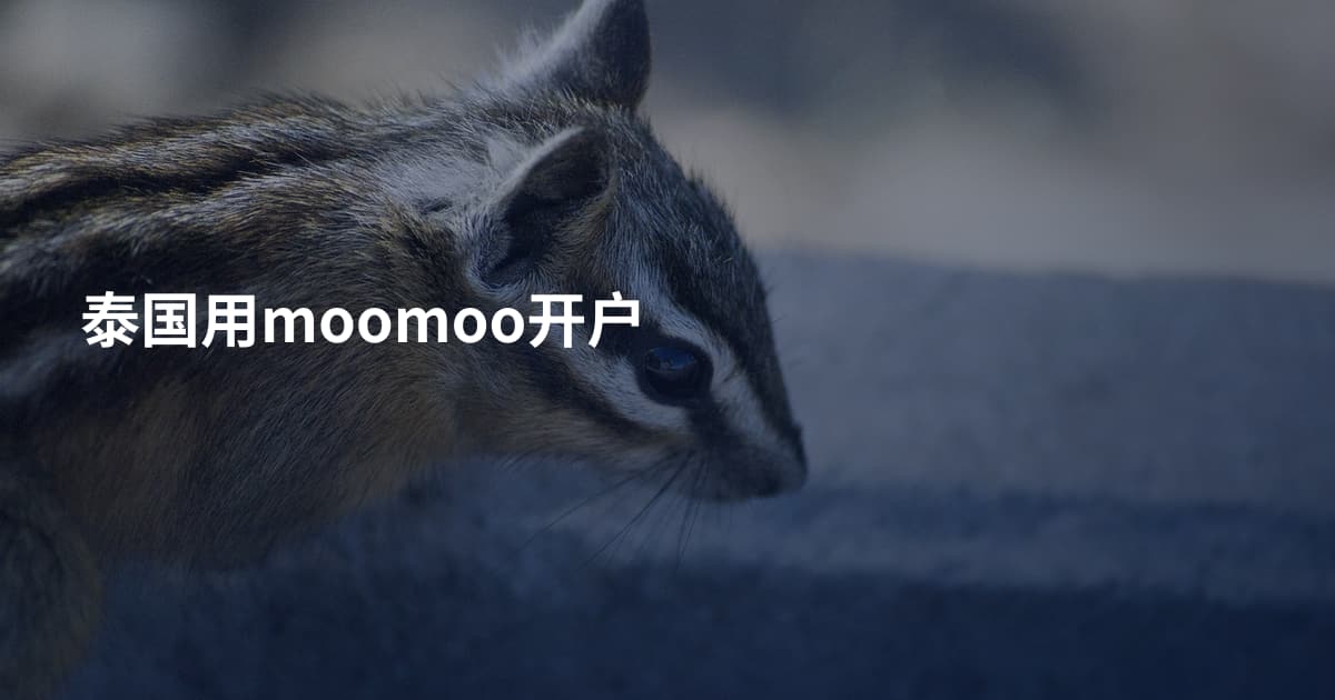 泰国用moomoo开户