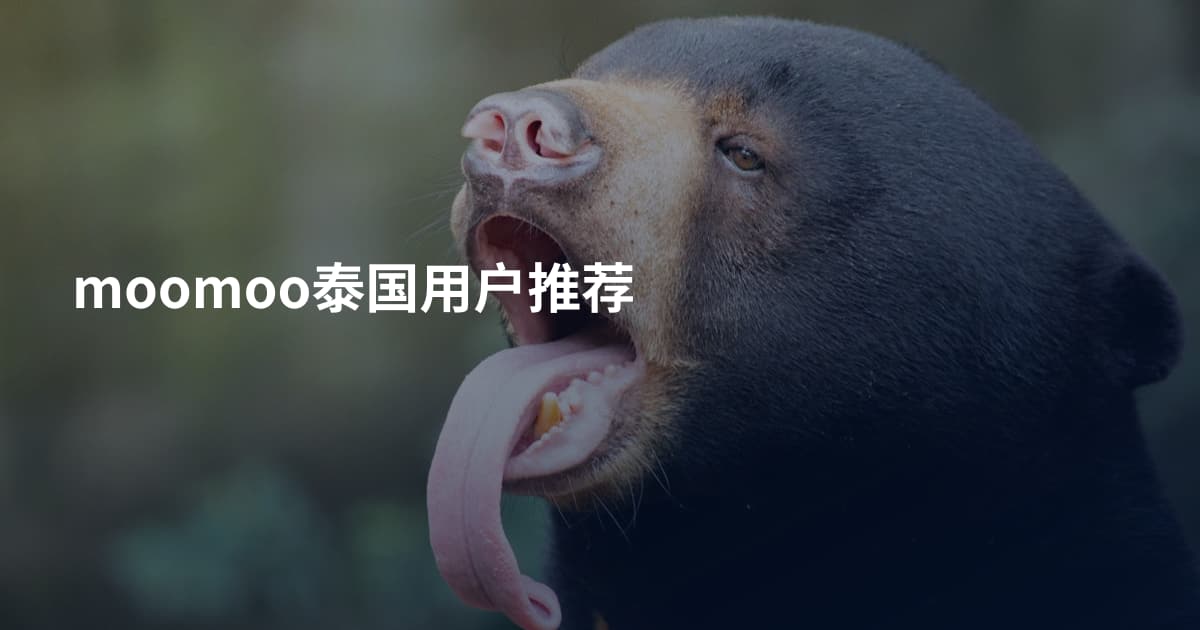 moomoo泰国用户推荐