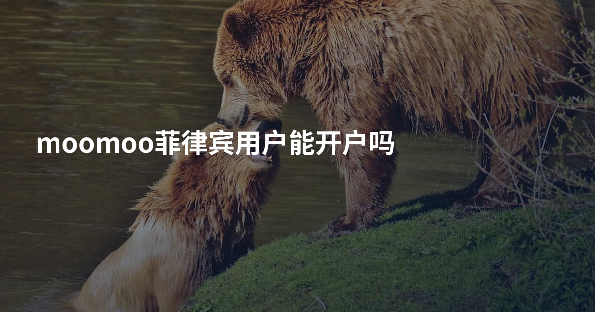 moomoo菲律宾用户能开户吗