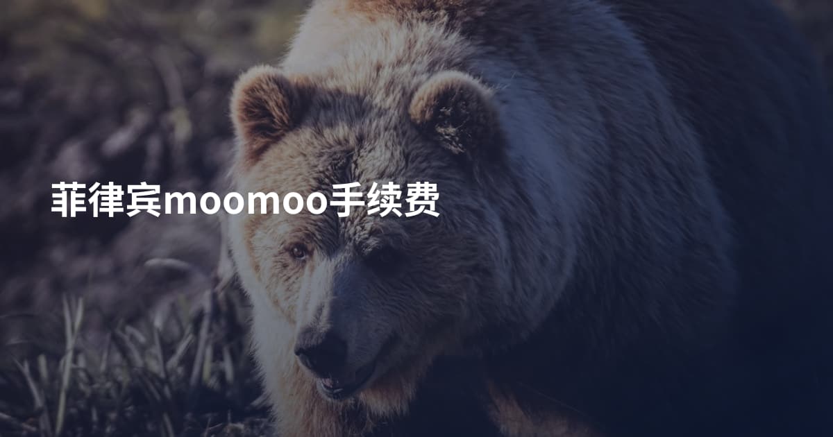 菲律宾moomoo手续费