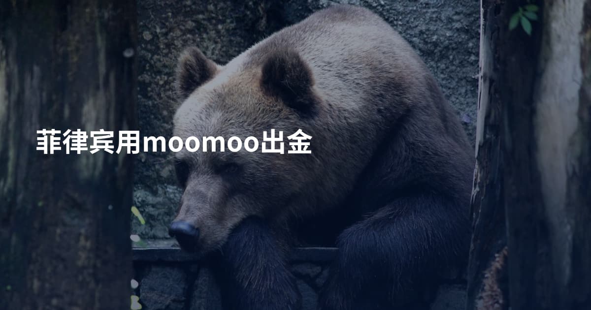 菲律宾用moomoo出金