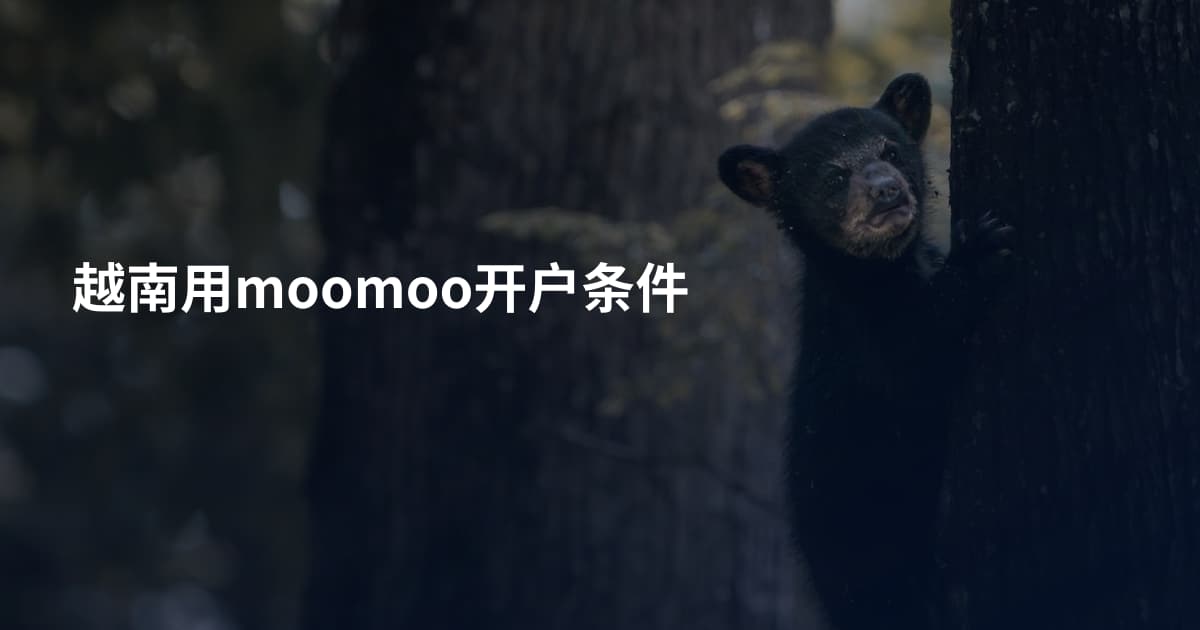 越南用moomoo开户条件