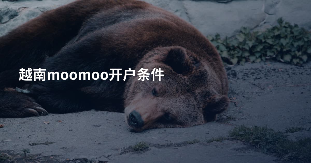 越南moomoo开户条件