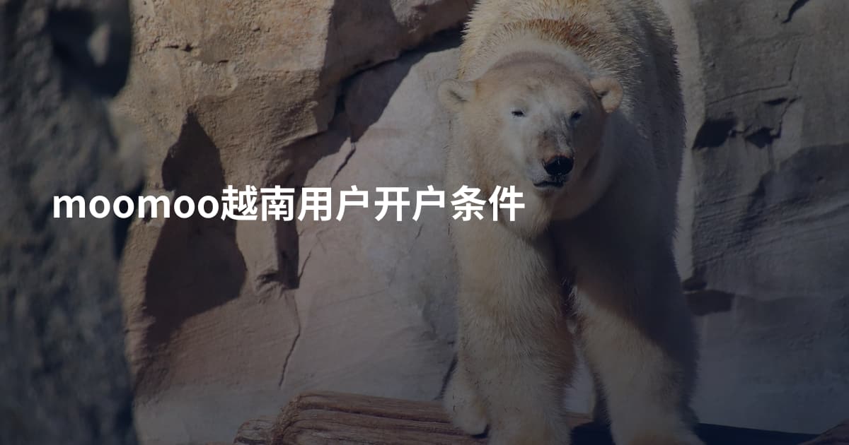 moomoo越南用户开户条件