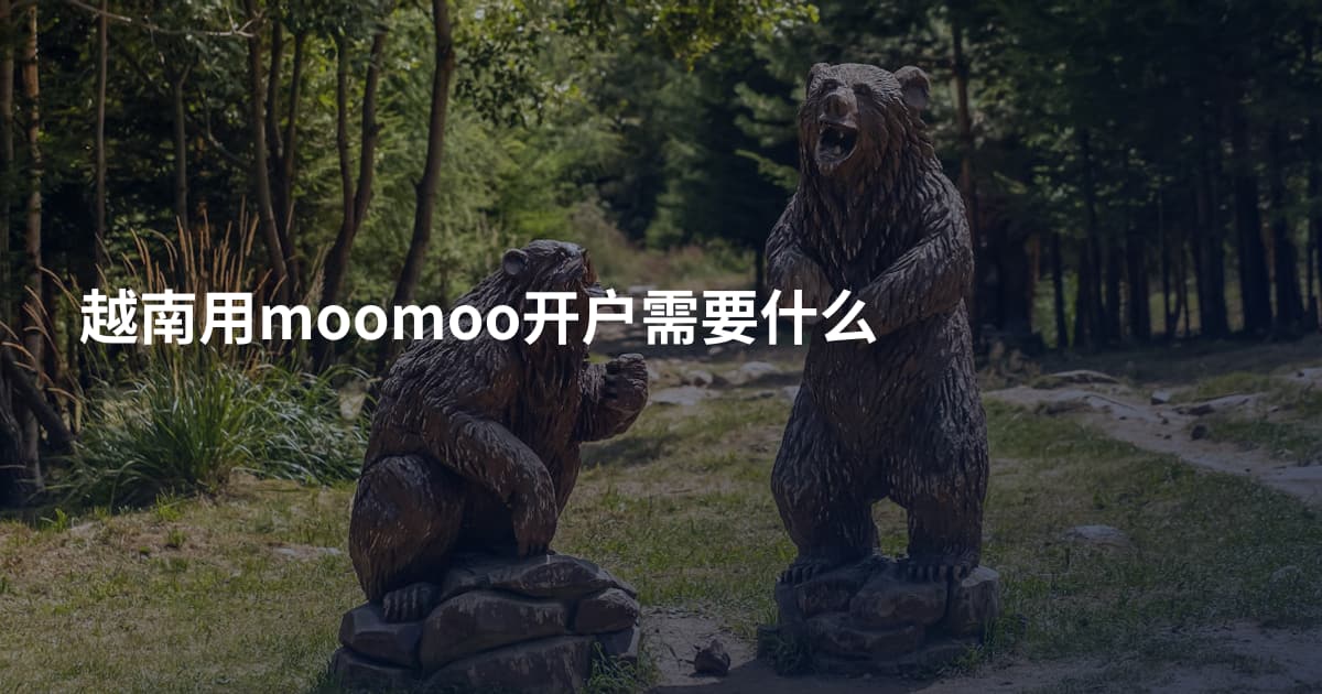 越南用moomoo开户需要什么