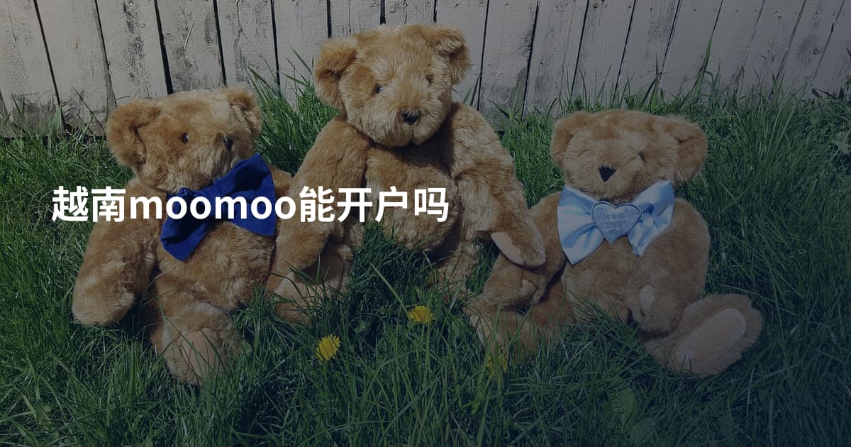 越南moomoo能开户吗
