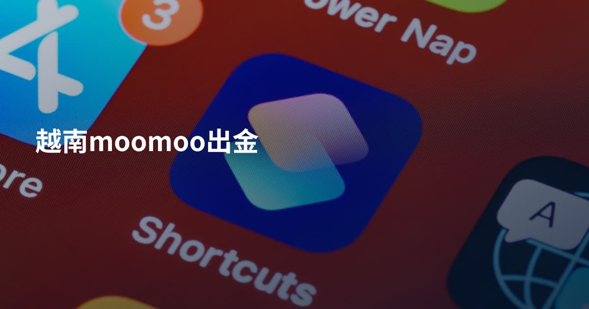 越南moomoo出金