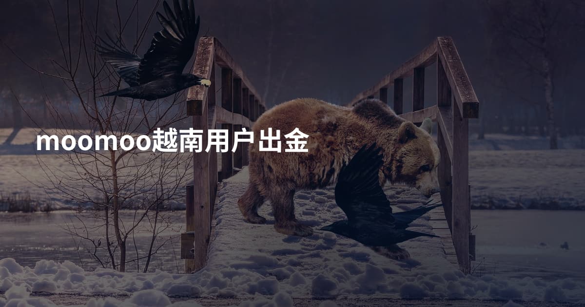 moomoo越南用户出金