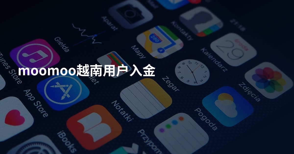 moomoo越南用户入金