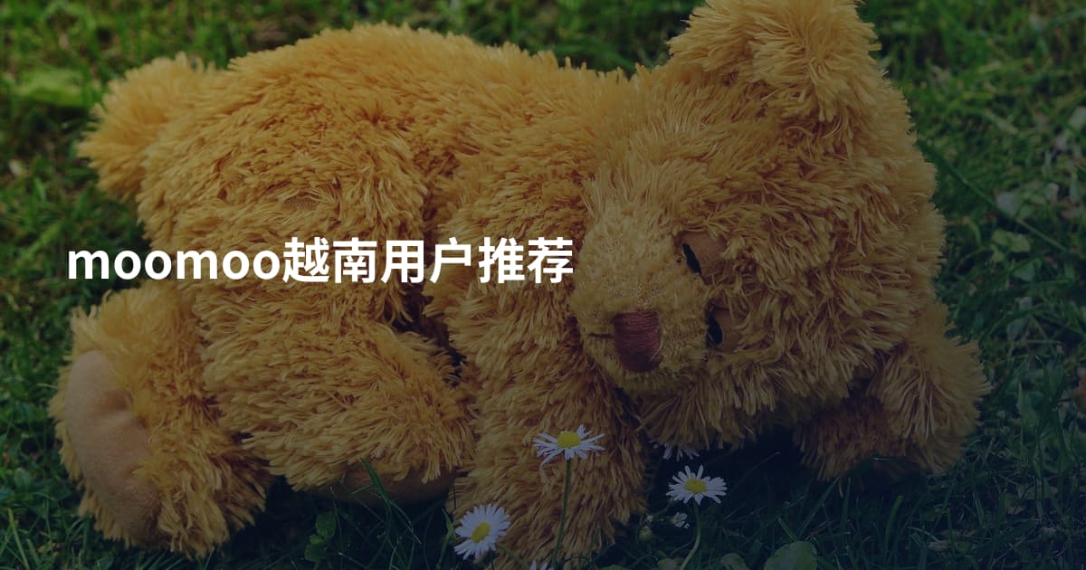 moomoo越南用户推荐