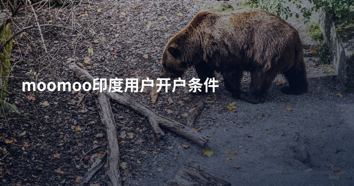 moomoo印度用户开户条件