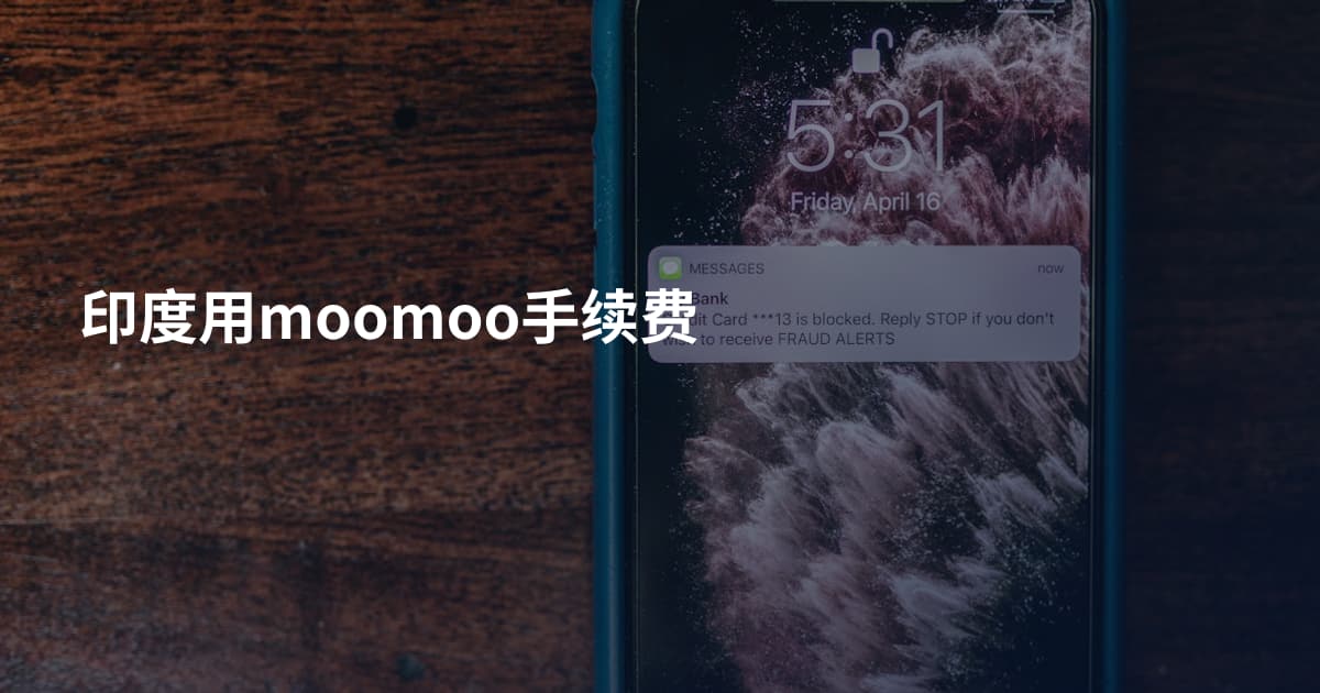 印度用moomoo手续费