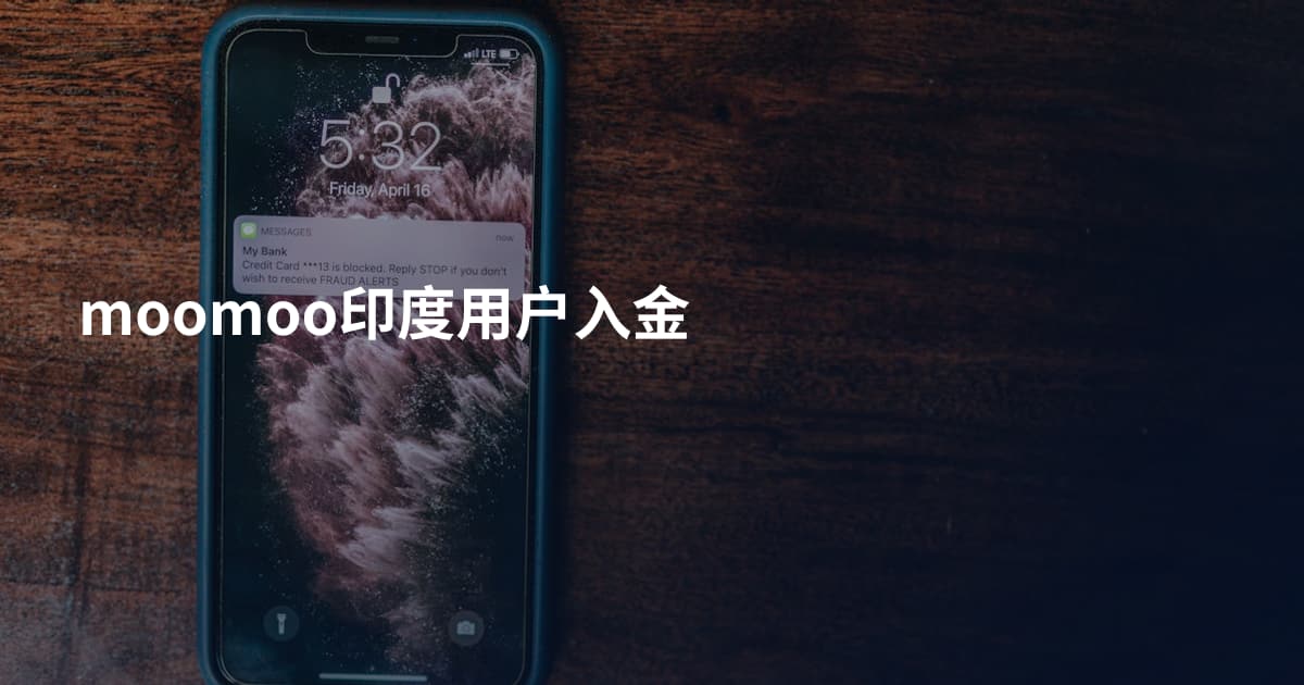 moomoo印度用户入金