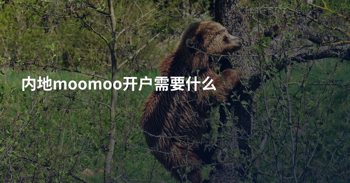 内地moomoo开户需要什么