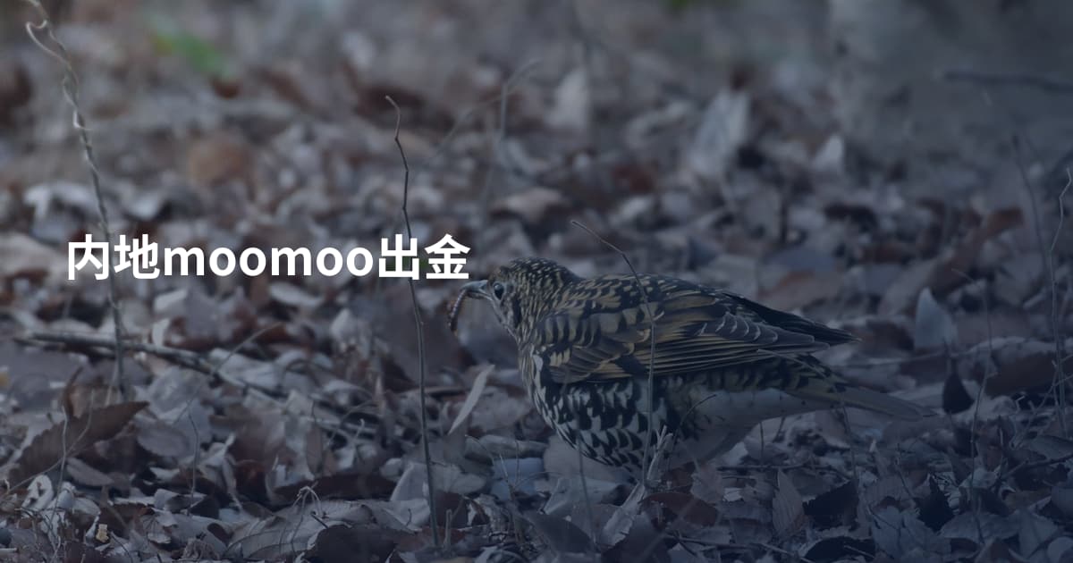 内地moomoo出金