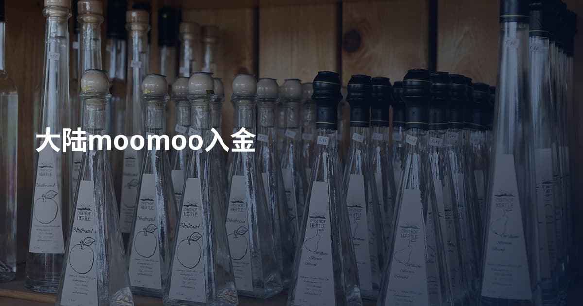 大陆moomoo入金