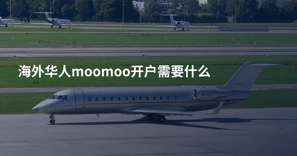 海外华人moomoo开户需要什么