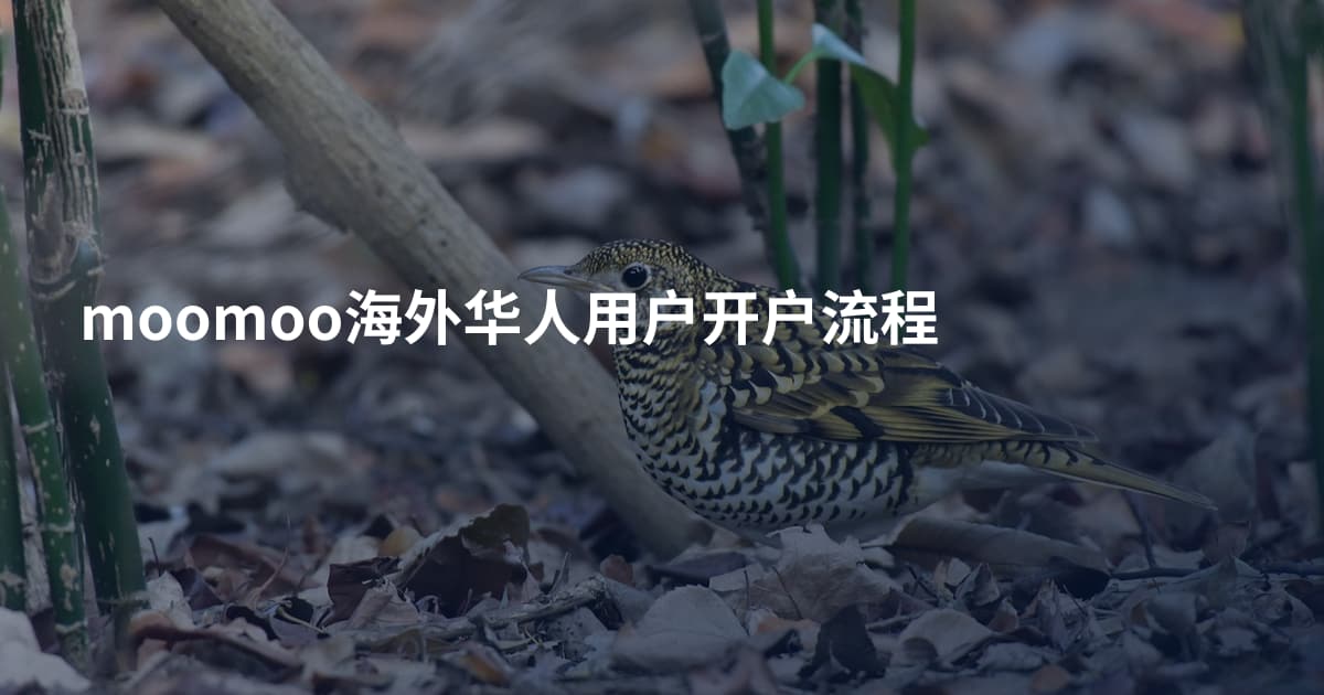 moomoo海外华人用户开户流程