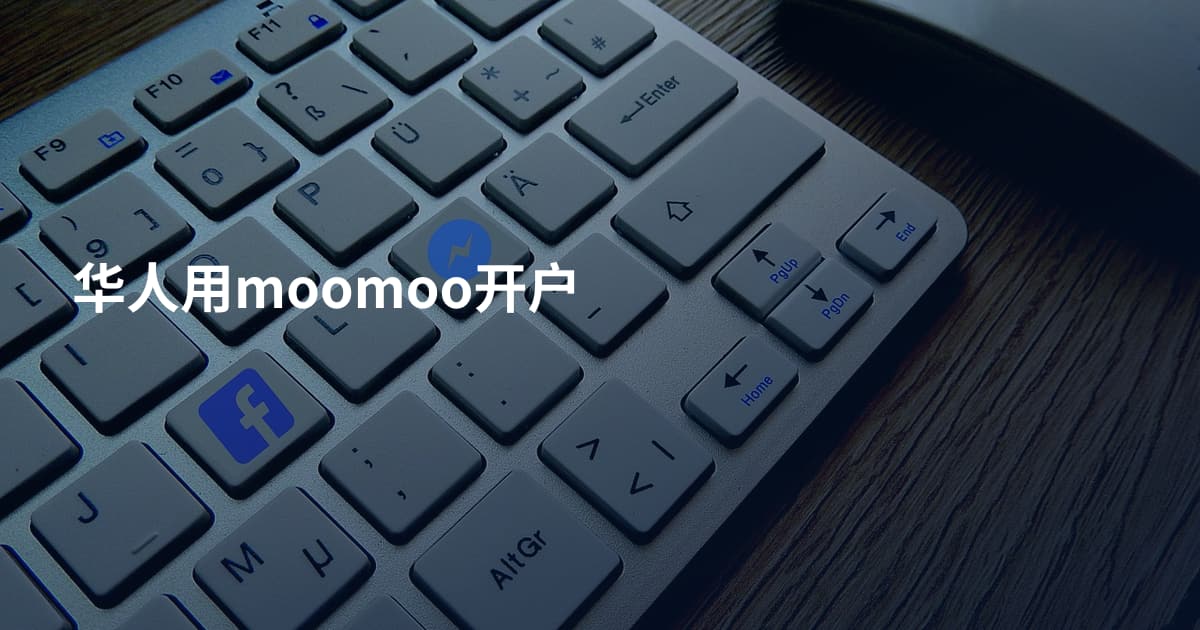 华人用moomoo开户