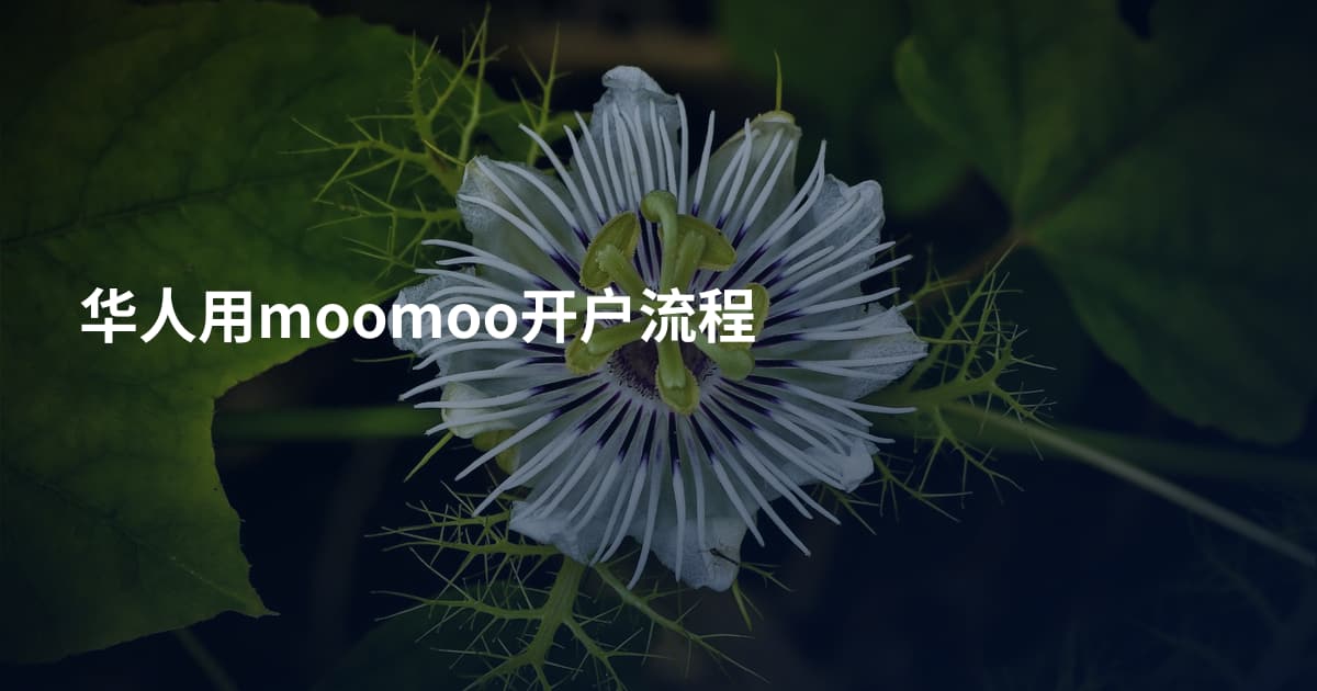 华人用moomoo开户流程