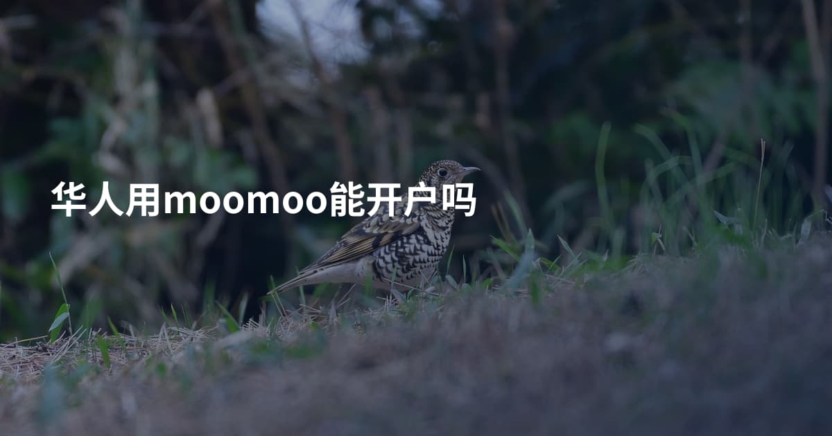 华人用moomoo能开户吗