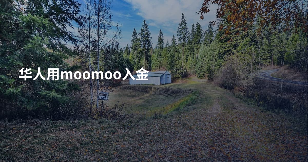 华人用moomoo入金