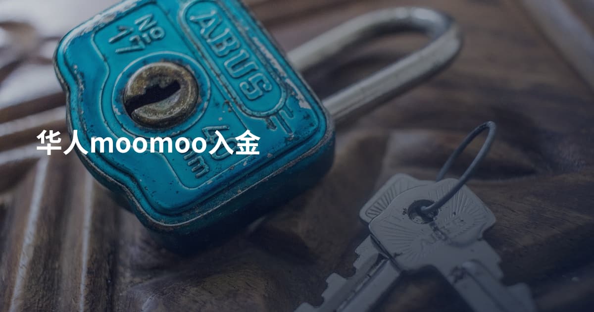 华人moomoo入金