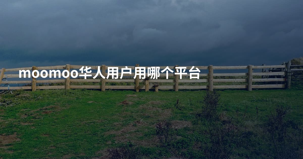 moomoo华人用户用哪个平台