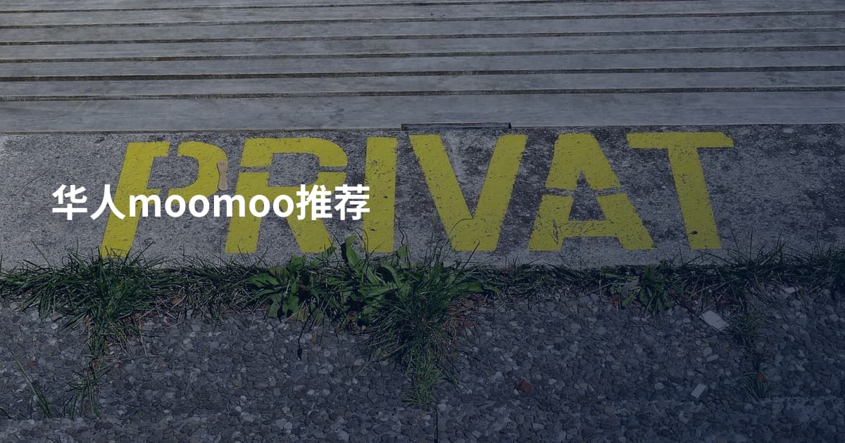 华人moomoo推荐