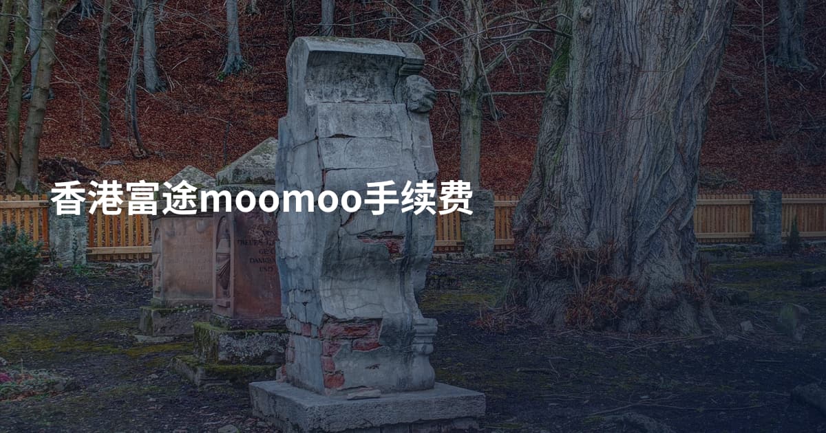 香港富途moomoo手续费