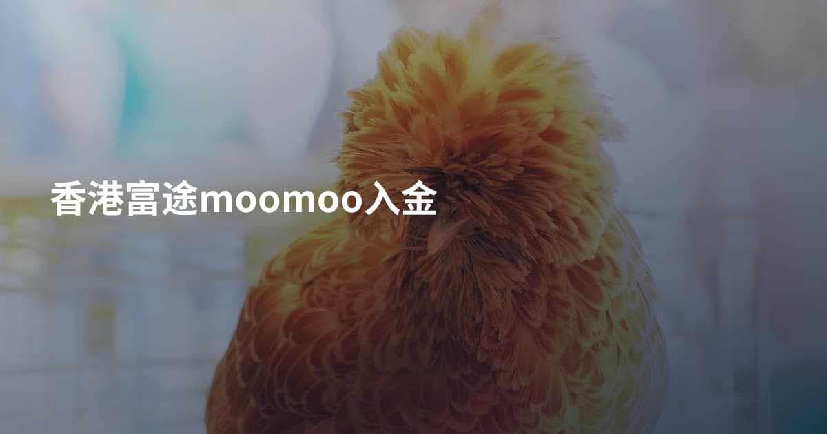 香港富途moomoo入金