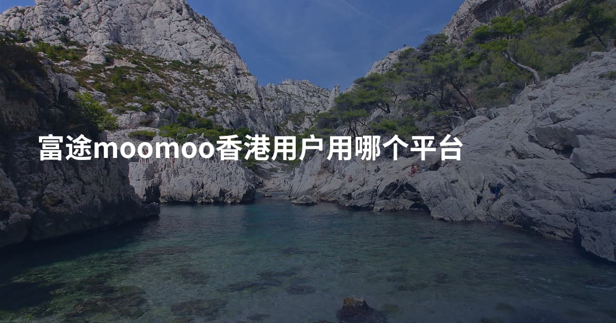 富途moomoo香港用户用哪个平台