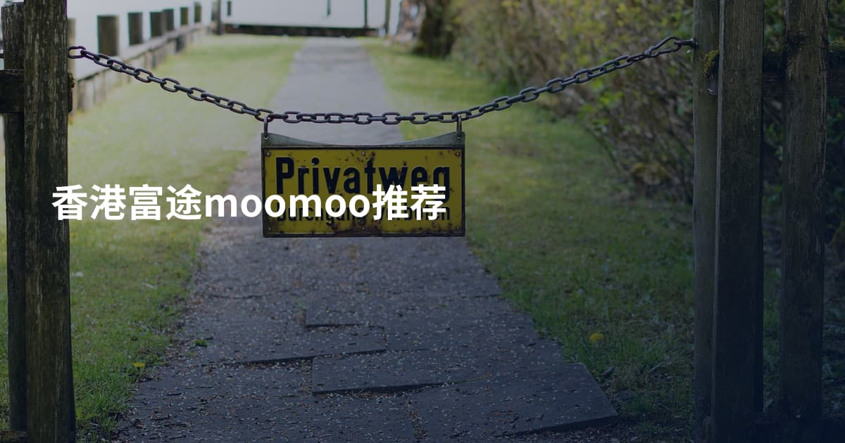 香港富途moomoo推荐