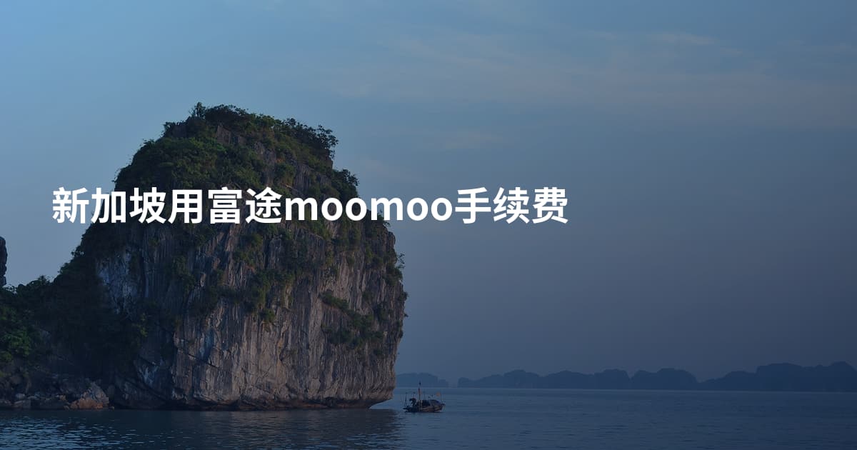 新加坡用富途moomoo手续费