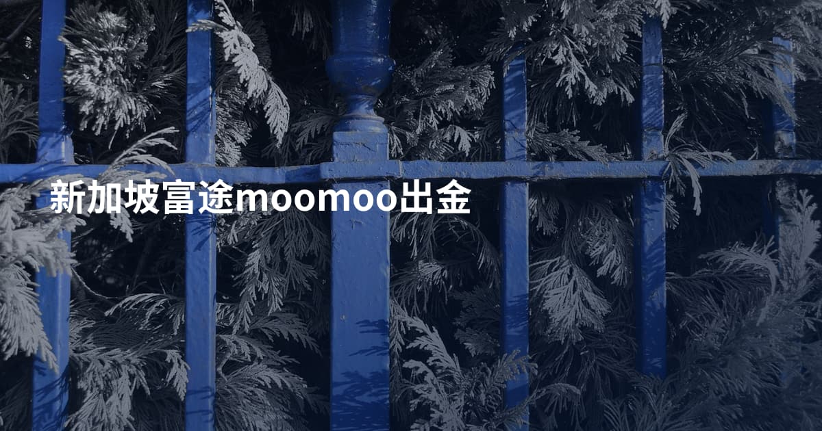 新加坡富途moomoo出金