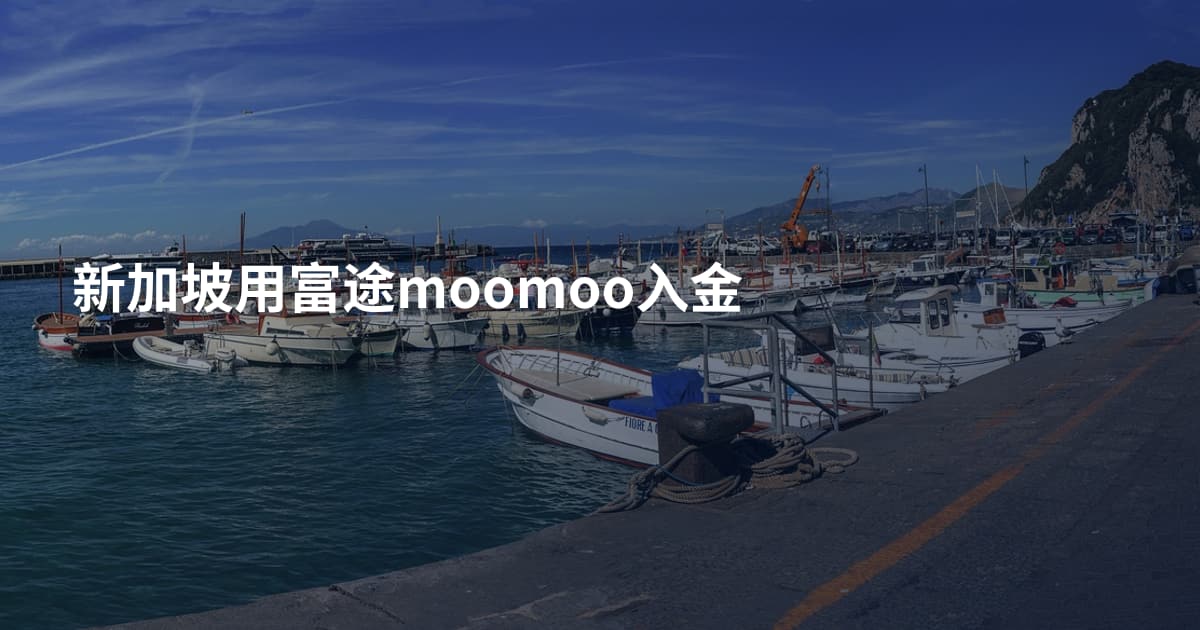 新加坡用富途moomoo入金