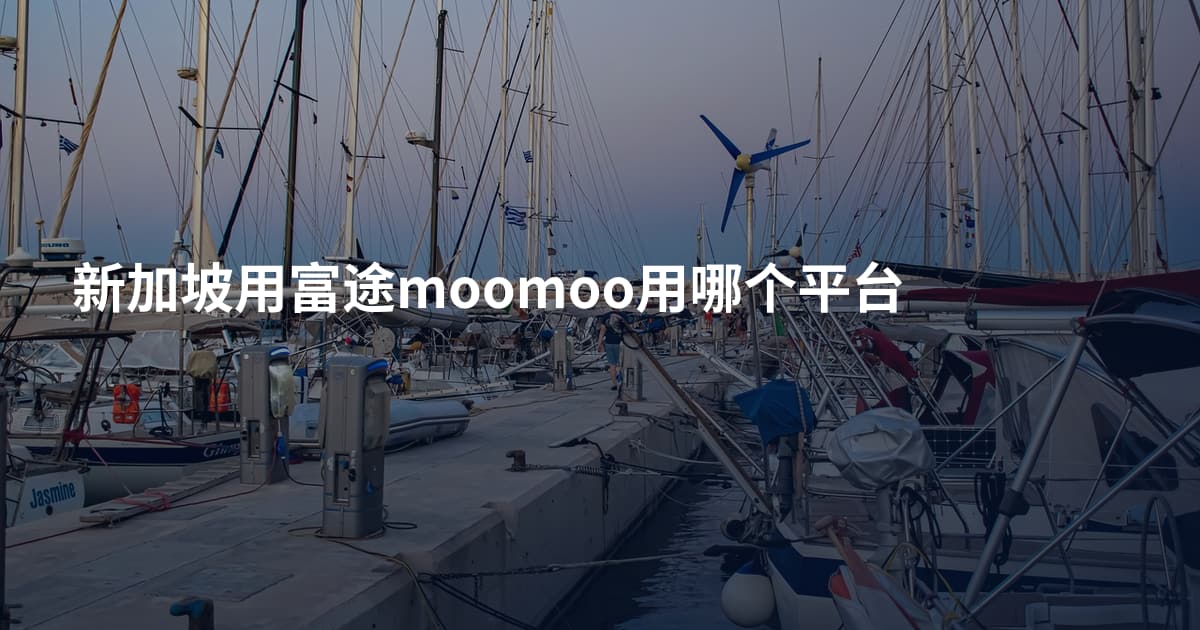 新加坡用富途moomoo用哪个平台