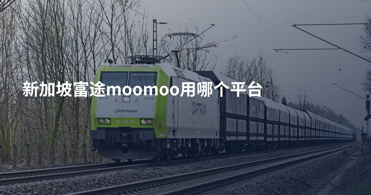新加坡富途moomoo用哪个平台