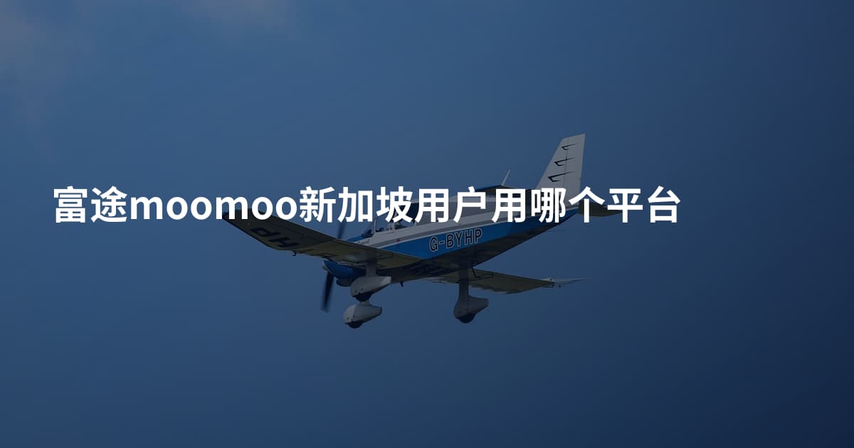 富途moomoo新加坡用户用哪个平台