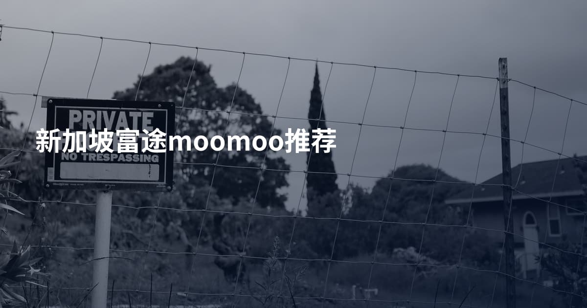 新加坡富途moomoo推荐