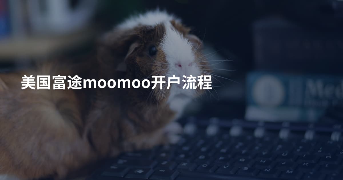 美国富途moomoo开户流程