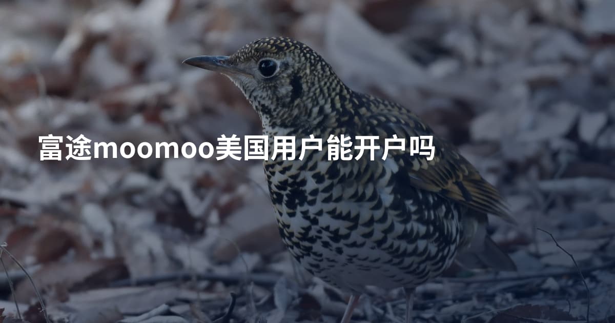 富途moomoo美国用户能开户吗