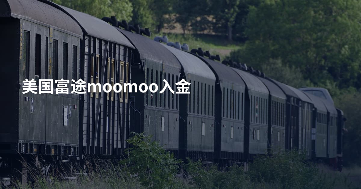 美国富途moomoo入金