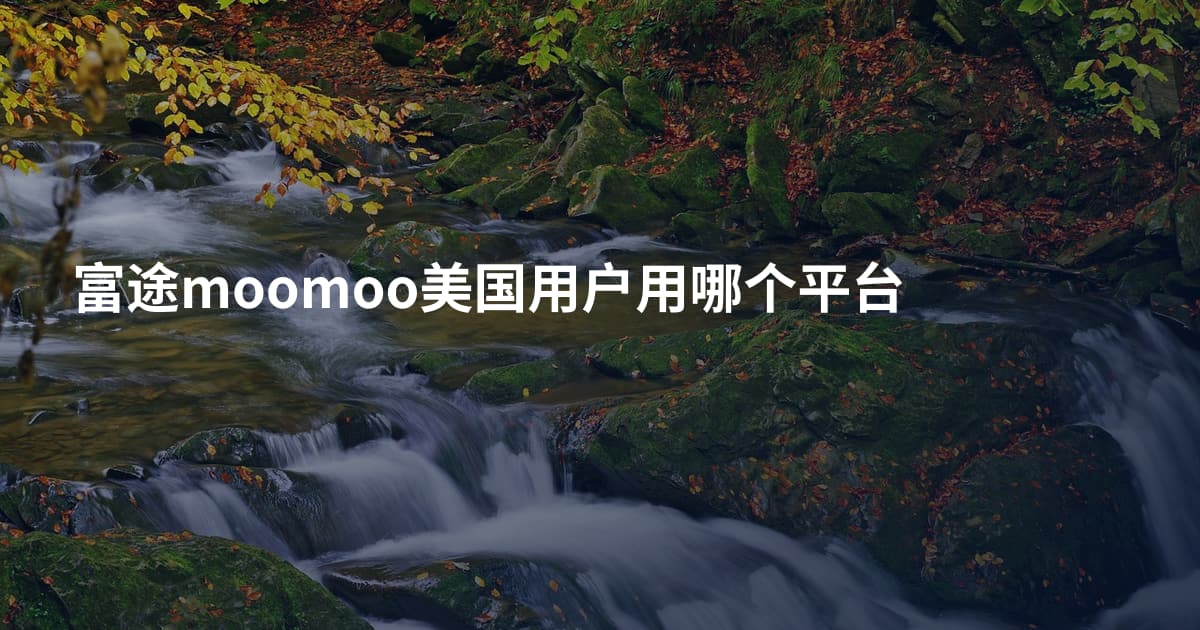 富途moomoo美国用户用哪个平台