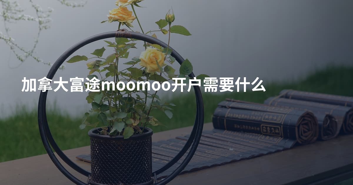 加拿大富途moomoo开户需要什么