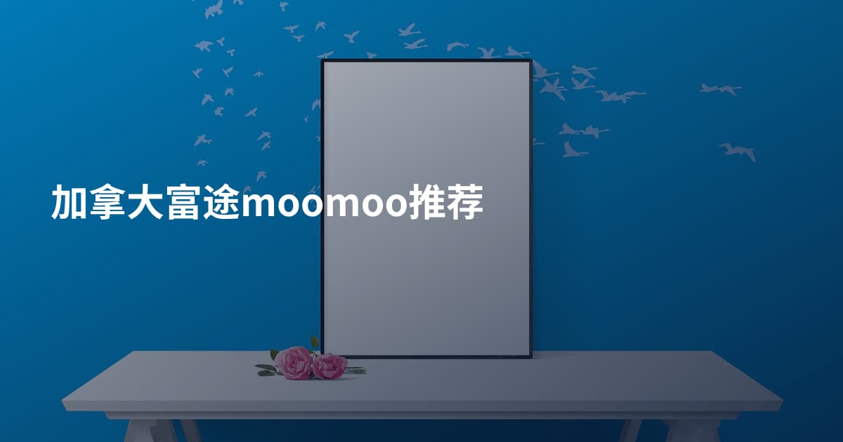 加拿大富途moomoo推荐